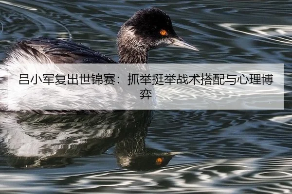 吕小军复出世锦赛：抓举挺举战术搭配与心理博弈